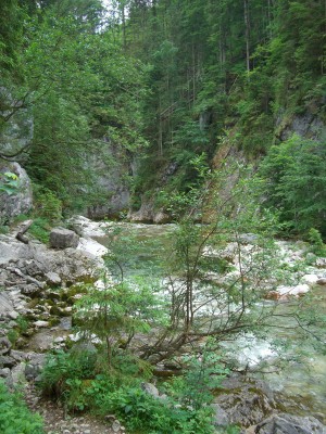 erz05.jpg