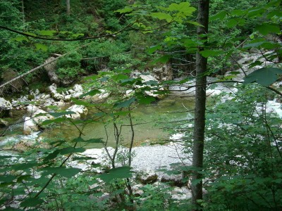 erz04.jpg