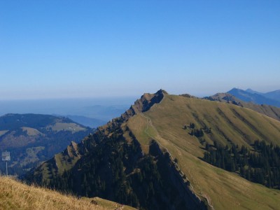 IMG_3905.JPG