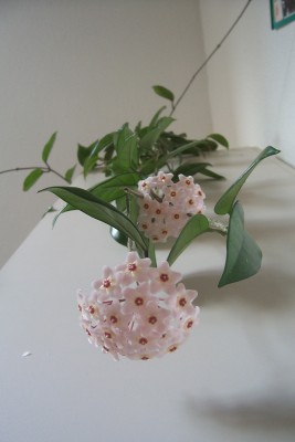 100_4082.JPG
