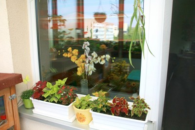 balkon1.jpg