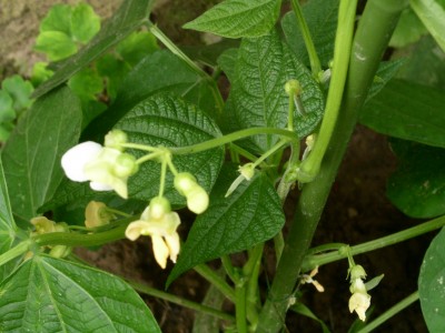PICT0384.JPG