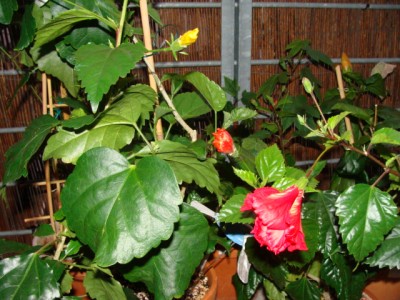 eigenebilder 085.jpg