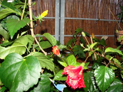 eigenebilder 088.jpg