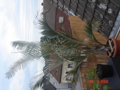 DSC03904.JPG