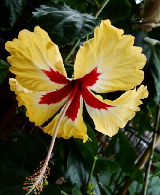 eigenebilder 026 Kopie.jpg