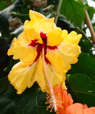 eigenebilder 008 Kopie1.jpg