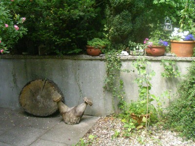 offener Garten 037.JPG