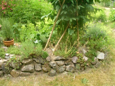 offener Garten 023.JPG