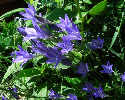 Name wird gesucht w.jpg