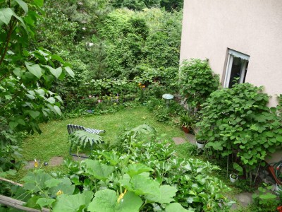 P1000289.JPG