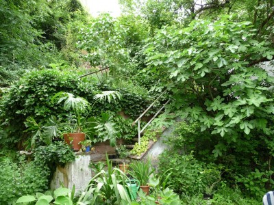 P1000272.JPG