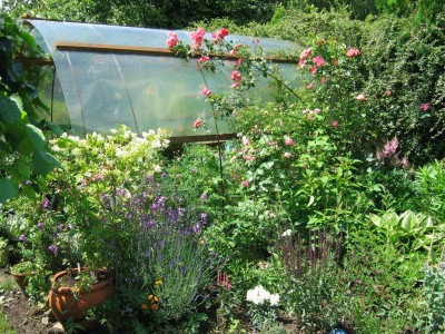 Größenänderung IMG_2189.JPG