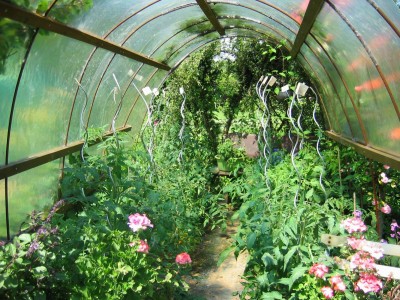 Größenänderung IMG_2191.JPG