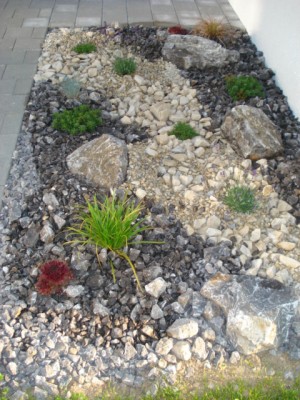 Bild 601.jpg