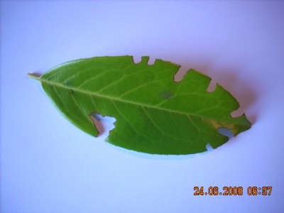 08-02-05 066.jpg