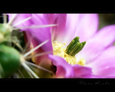 Untitled-5.jpg