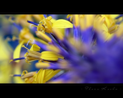Untitled-4.jpg