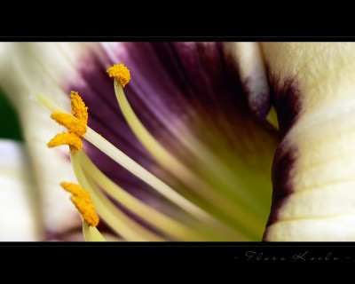 Untitled-14.jpg