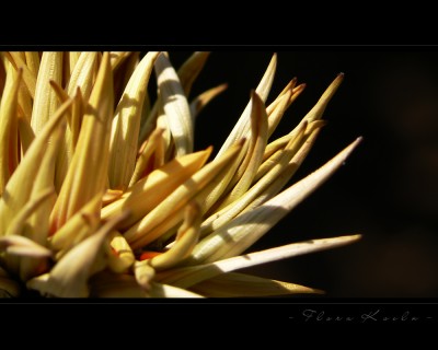Untitled-10.jpg