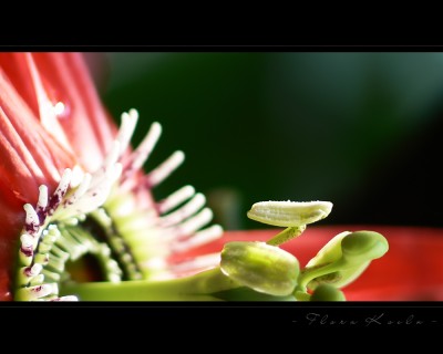 Untitled-21.jpg