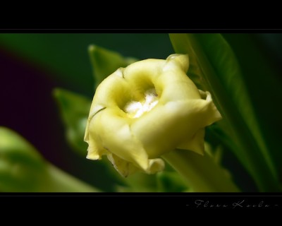 Untitled-20.jpg