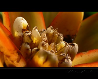 Untitled-19.jpg