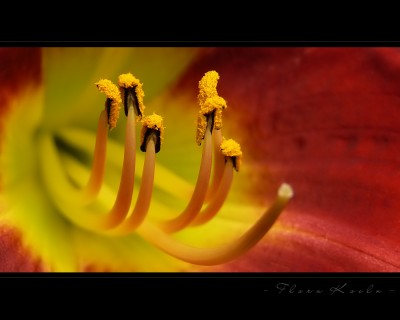 Untitled-18.jpg