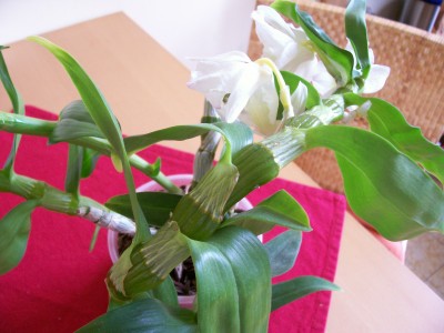 100_1109.jpg