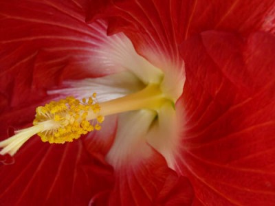 eigenebilder 031 Kopie.jpg