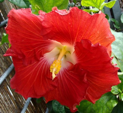 eigenebilder 029 Kopie.jpg