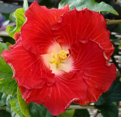 eigenebilder 028 Kopie.jpg