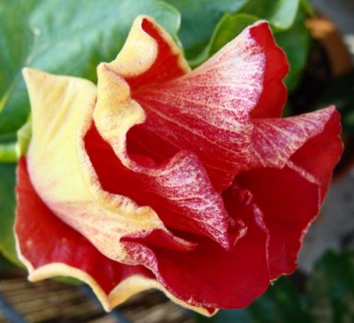 eigenebilder 002 Kopie.jpg