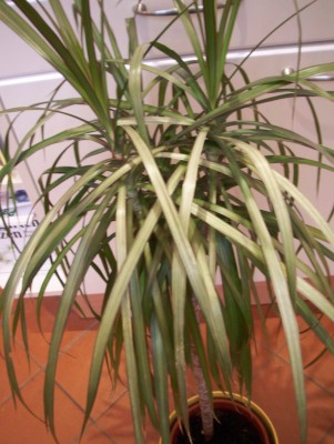 EM2008 035.jpg