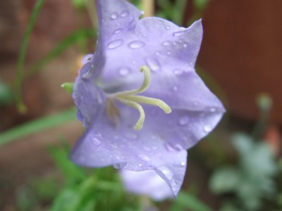 DSCF1790.JPG