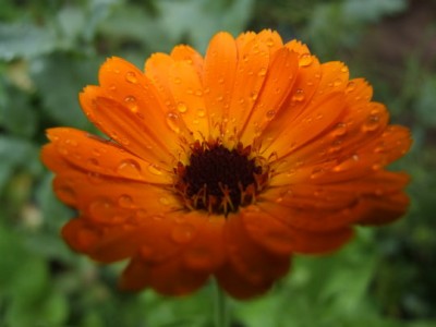 DSCF1781.JPG