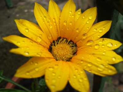 DSCF1777.JPG