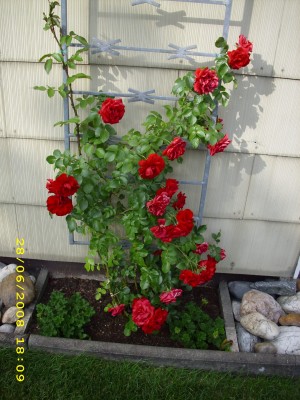 Test 573.jpg