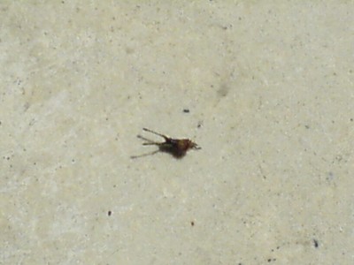 DSC00285.JPG