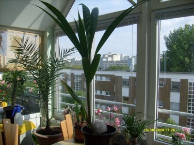 15.06.2008.JPG