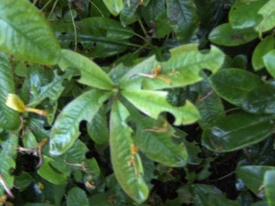 BILD0585.JPG