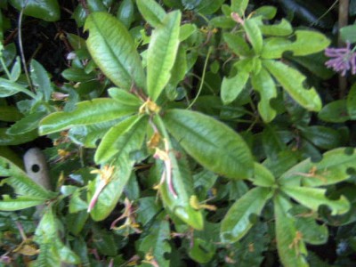 BILD0586.JPG