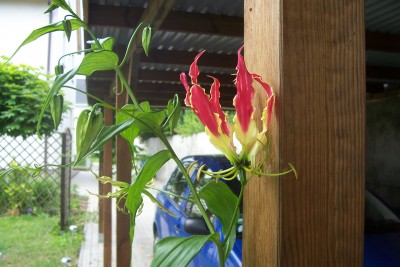 100_4094.JPG