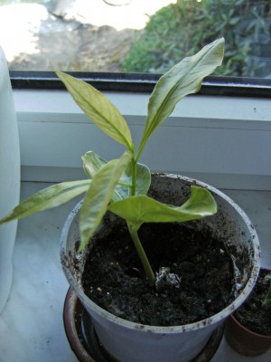 BILD0057_edited.JPG