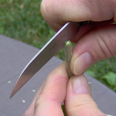 Veredelung-Bild5a.jpg