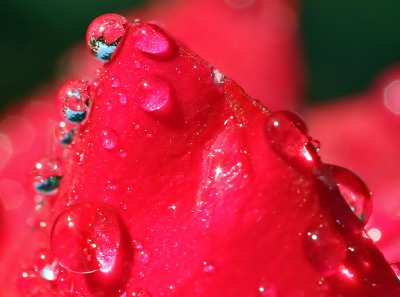 garten5.jpg