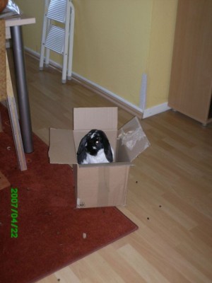 23.04.2007 005.jpg