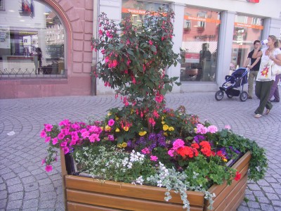R0012968.JPG