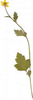 Scannen0002.jpg