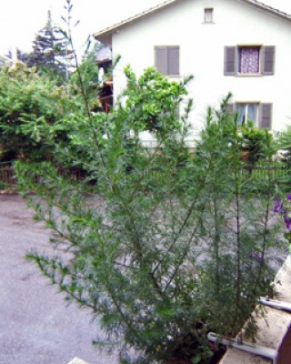 DSCF0634.jpg